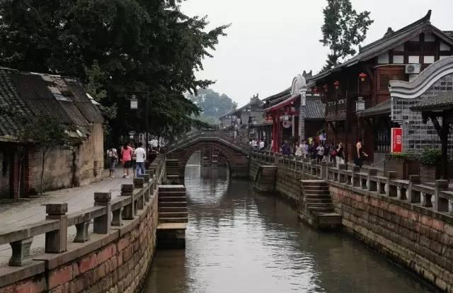 逗小猴开心系列171